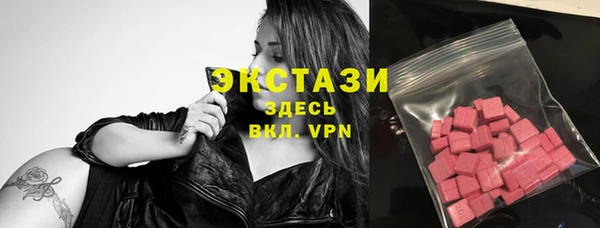 индика Анива