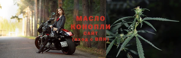индика Анива